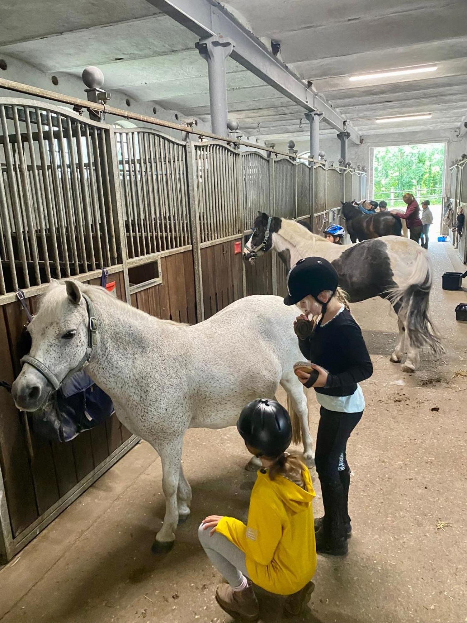 Heidegut Eschede Reitsportanlage Und Feriendorf Eksteriør billede