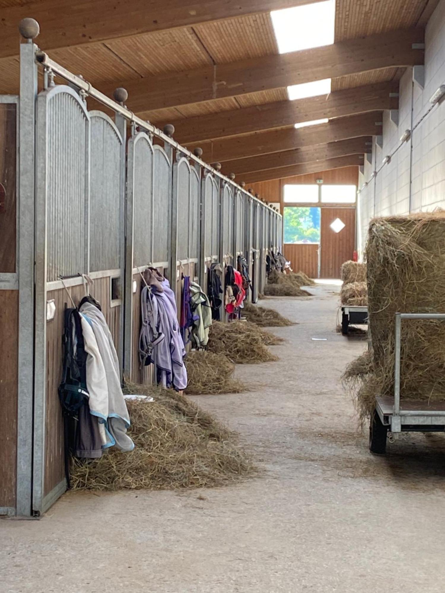 Heidegut Eschede Reitsportanlage Und Feriendorf Eksteriør billede